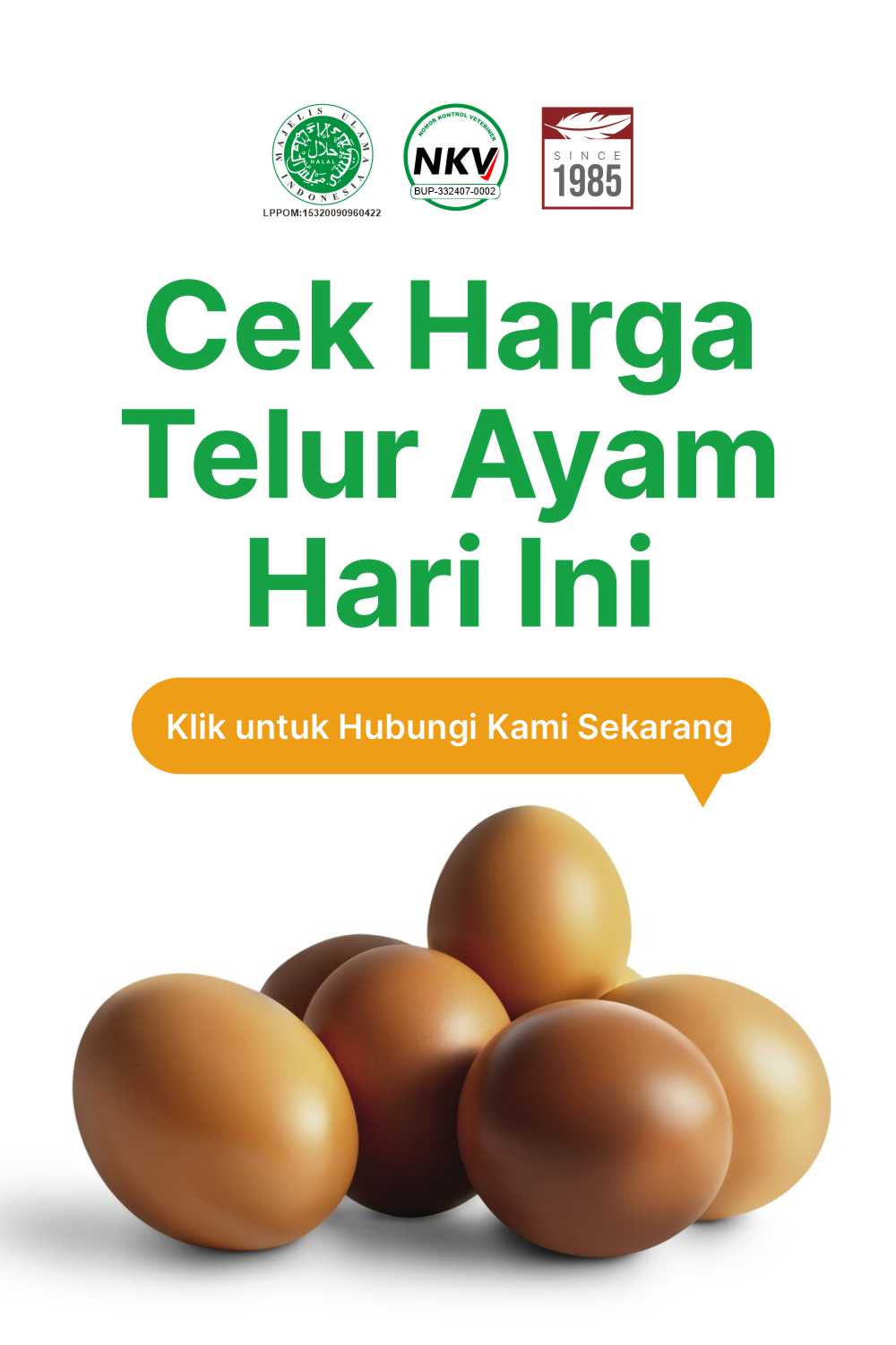 Agrosari Farm Produsen Telur Ayam Berkualitas