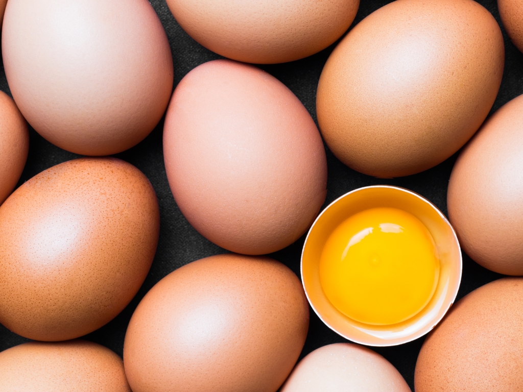 5 Perbedaan Telur Omega 3 dan Telur Biasa yang Perlu Anda Ketahui