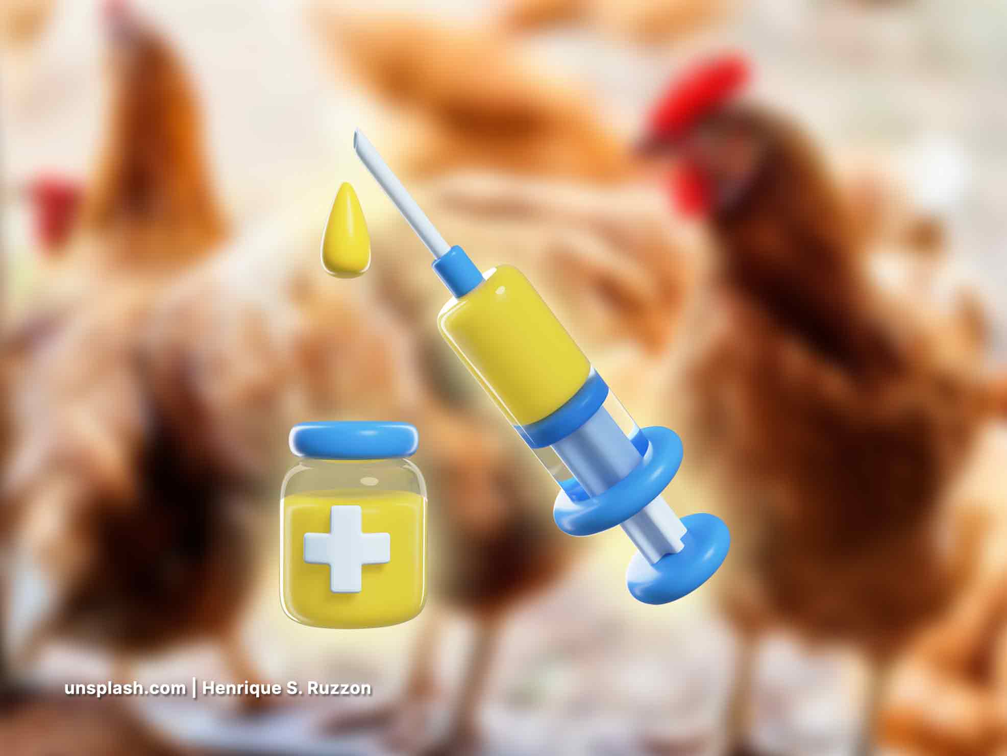 7 jenis vaksin untuk ayam
