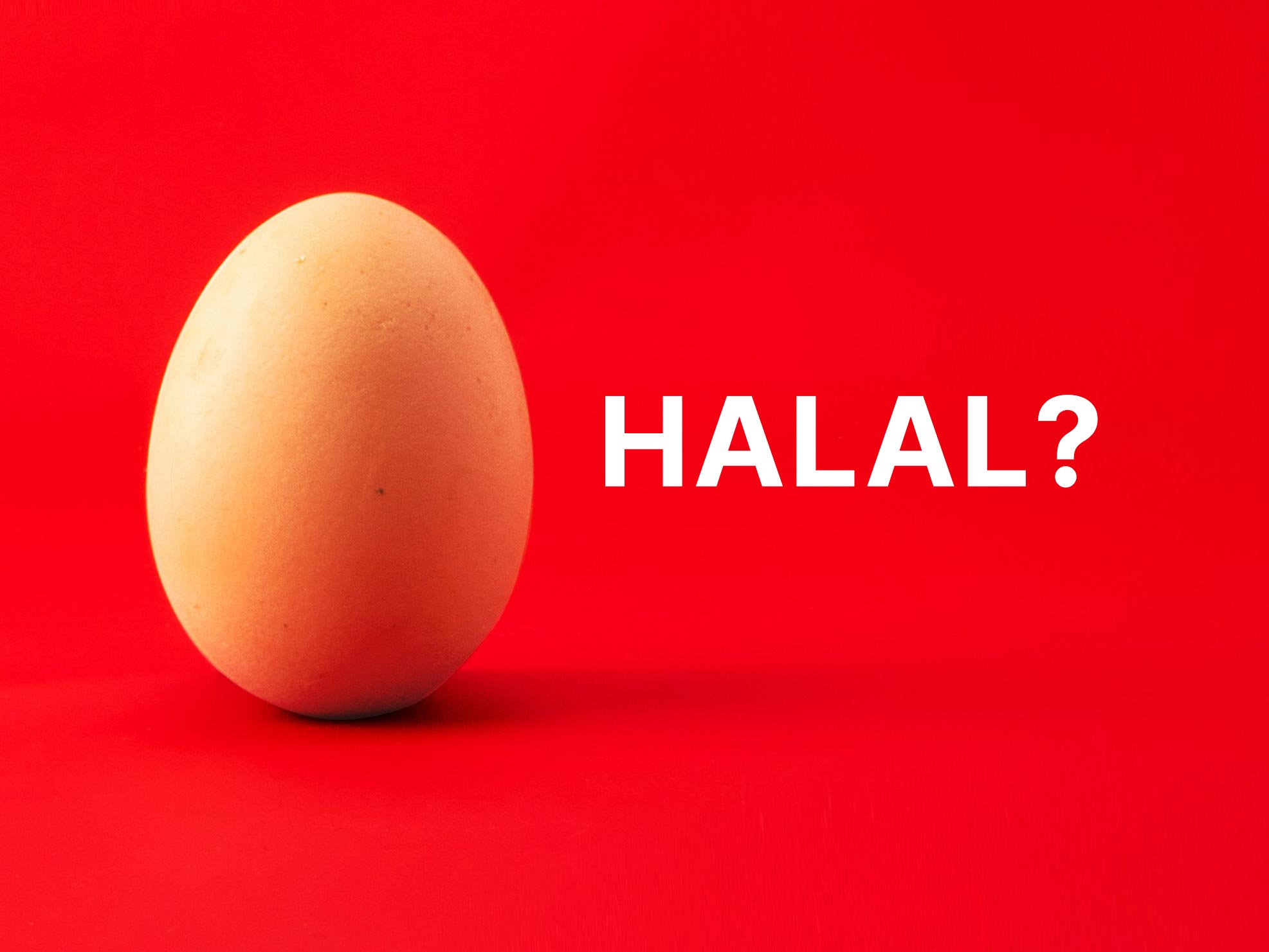 telur halal