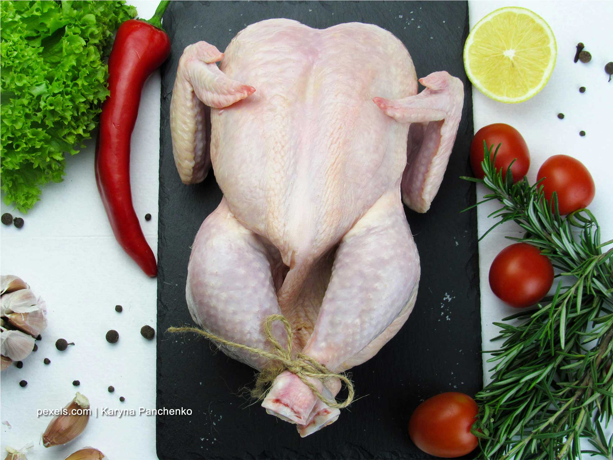ayam petelur bisa dimakan