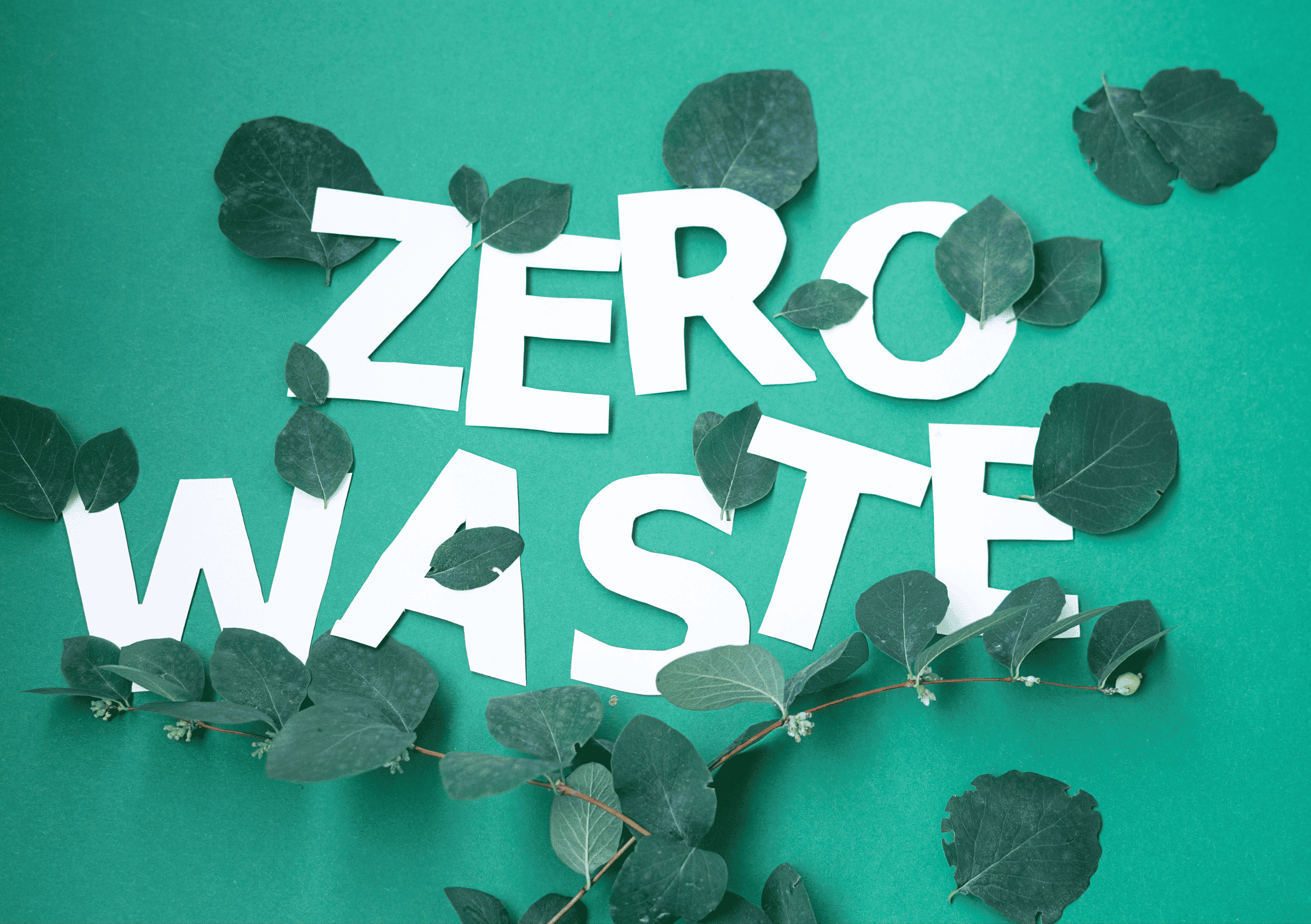 peternakan ayam zero waste