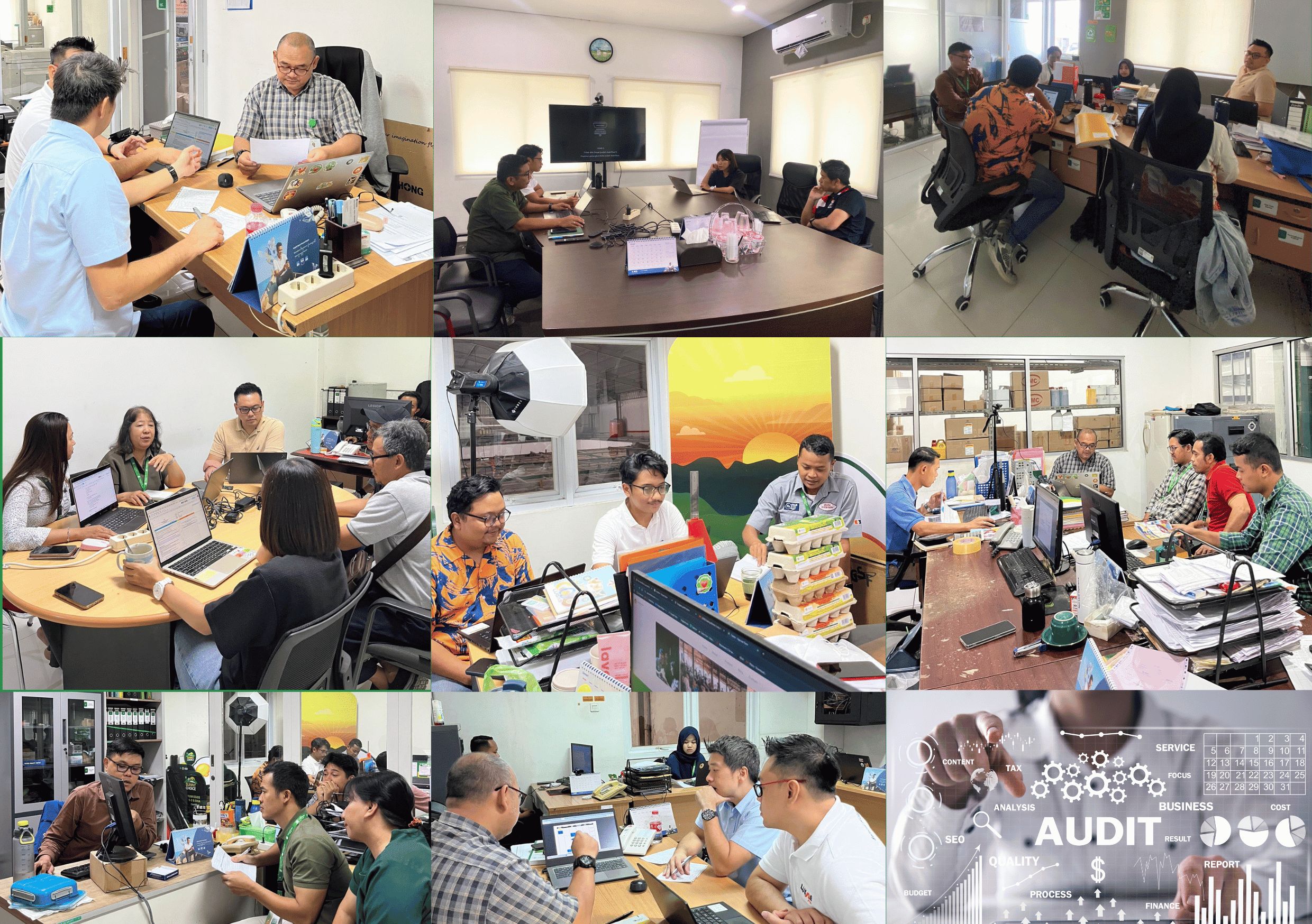 internal audit Agrosari Farm