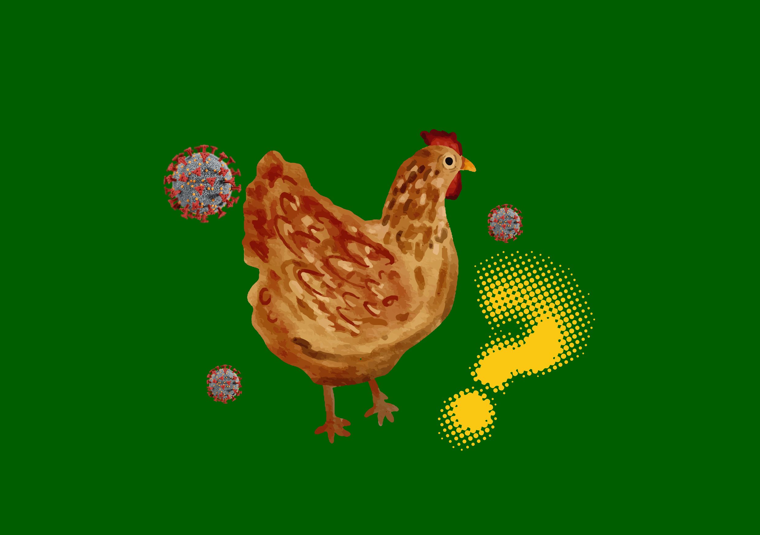 virus nipah indonesia