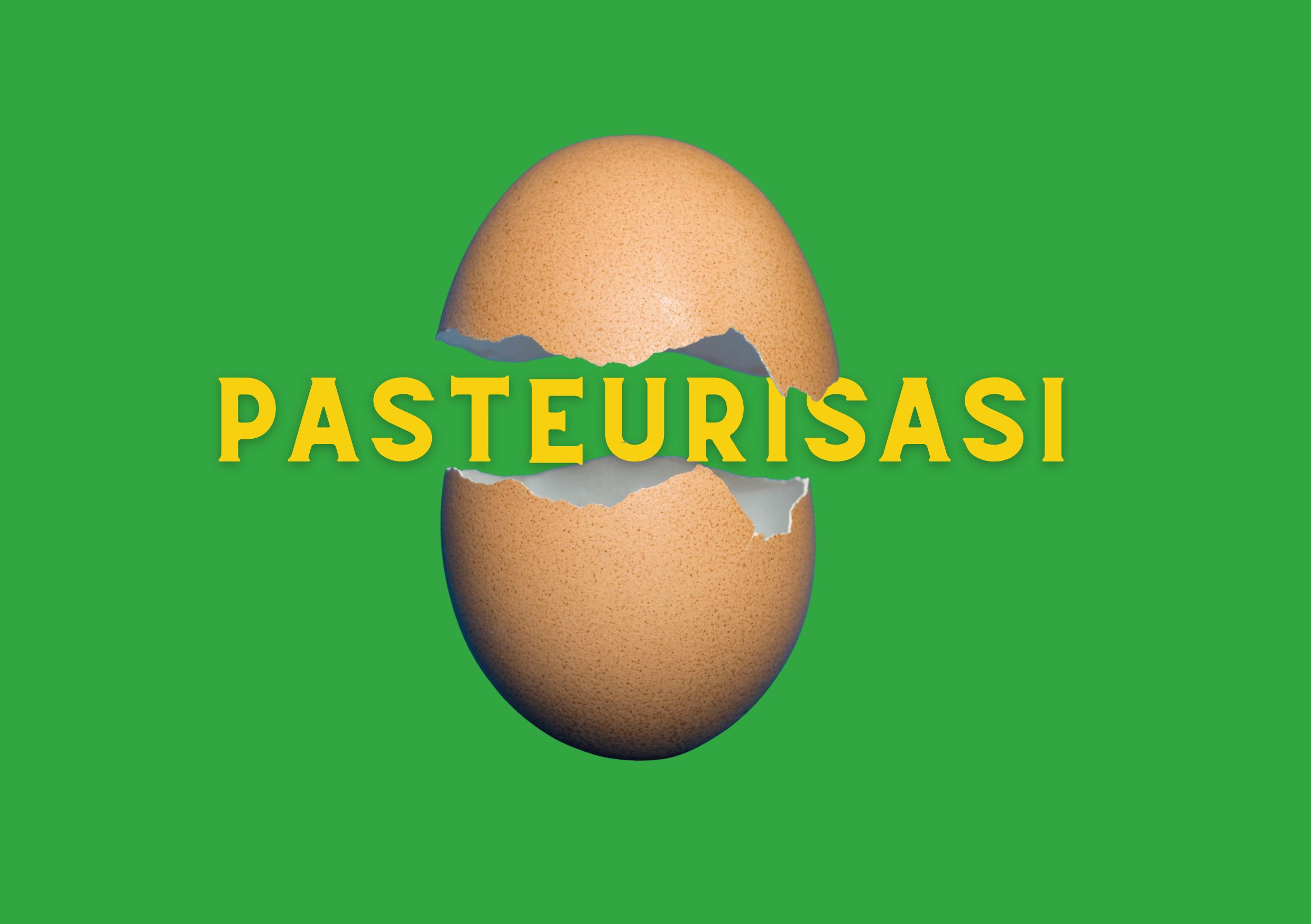 telur pasteurisasi