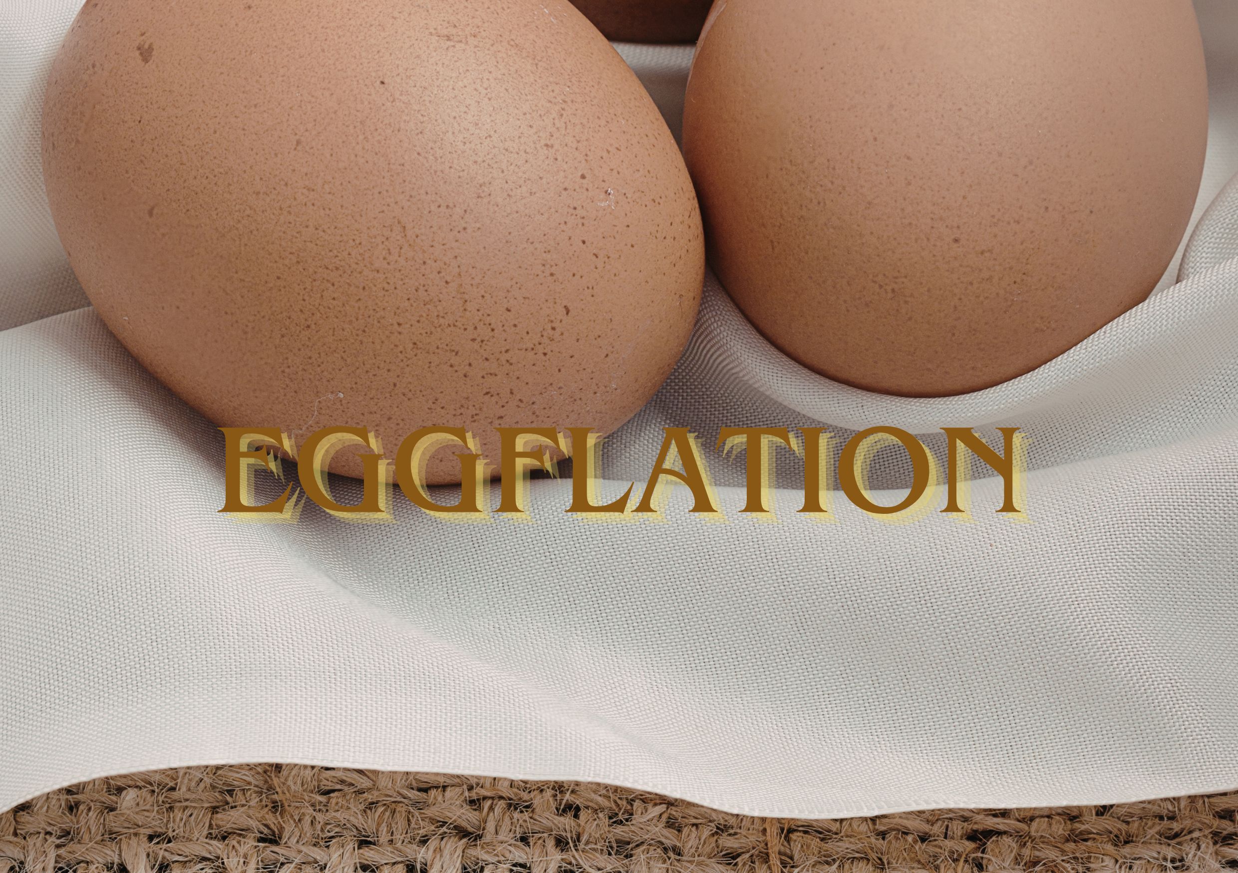 eggflation telur ayam defisit